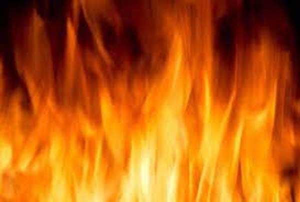 रूस के 39 वन क्षेत्र में लगी आग पर काबू